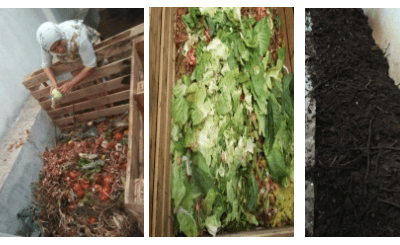 Marocco programma d’Ecologia