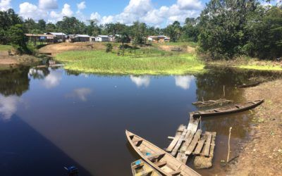 Escuchar el grito de la Amazonía