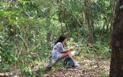 Retiro: Parque Natural Metropolitano, Hermanos Franciscanos y JMJ Uno con la naturaleza, uno por Laudato si’