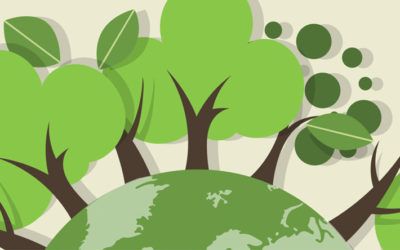 Per un’ecologia integrale
