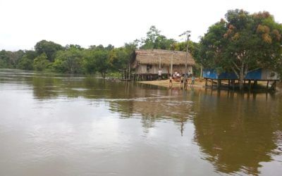 Proyecto Amazonia:  “Una Iglesia con rostro amazónico y una Iglesia con rostro indígena”