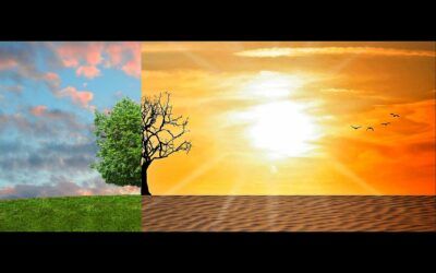 La crisis climática y el corona virus