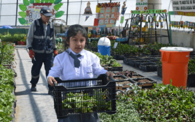 Perú, Complejo Ecológico San Francisco De Asís