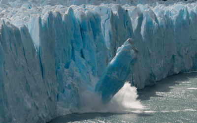 Carta abierta de la sociedad civil mundial para el establecimiento de un nuevo Relator Especial de la ONU sobre Derechos Humanos y Cambio Climático