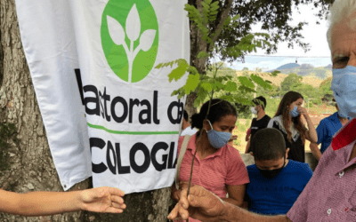 Brazil: Colatina project aims to increase care for our common home