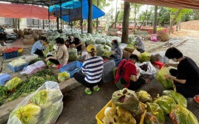 La respuesta de los Franciscanos vietnamitas a la pandemia mundial
