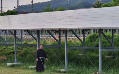 La piattaforma d’azione Laudato Si’ viene lanciata con la leadership dell’Ufficio GPIC dell’Ordine.