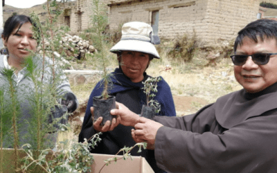 Bolivia: reforestation in La Paz, seeds of hope