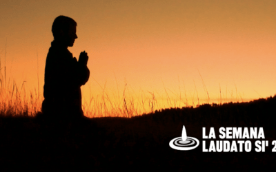 En el Día de la Tierra, la Iglesia invita a celebrar la Semana Laudato Si’ 2022