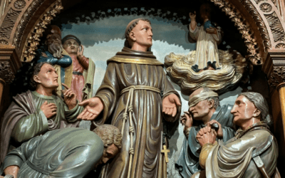 Letter From the General Minister for the VII World Day of the Poor. XXXIII Sunday in Ordinary Time -19th November, 2023