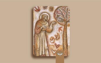 Apertura del VIII Centenario del Cántico de las Criaturas